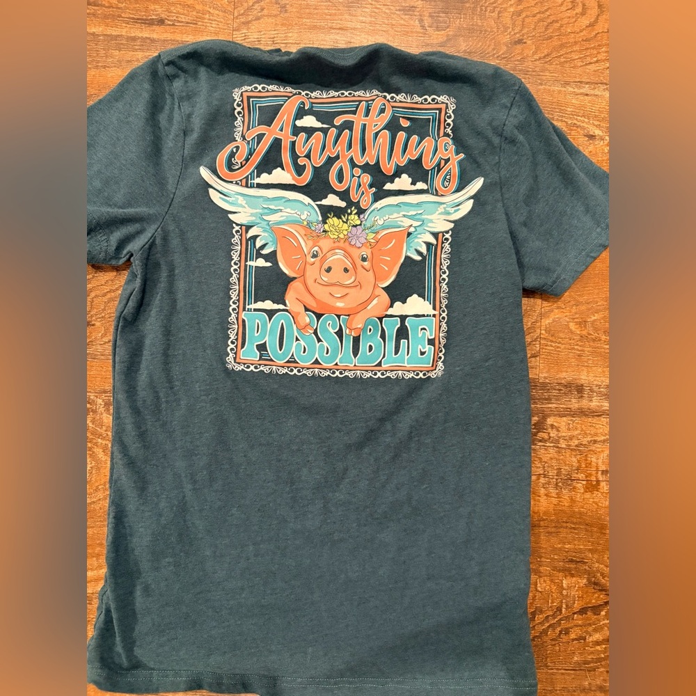 Anything Is Possible Short Sleeve Tee - Teal with Graphic Pig